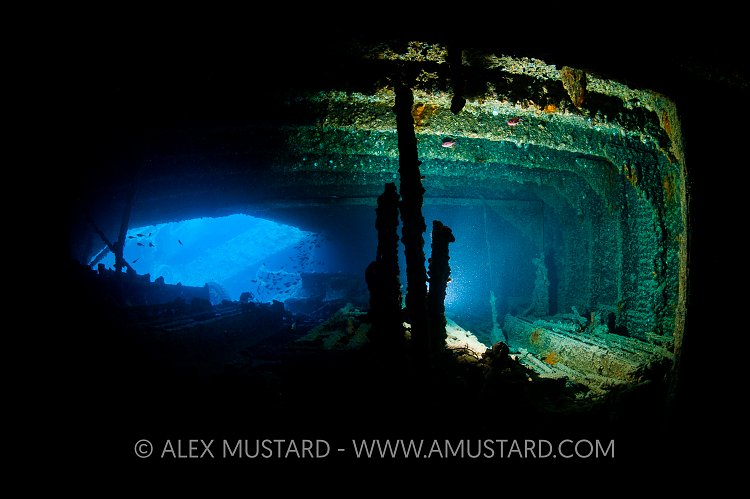 Thistlegorm Hold 1. Egypt