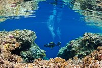 Divers In Reef Shallows. Egypt