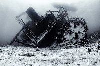 Giannis D Wreck. Egypt