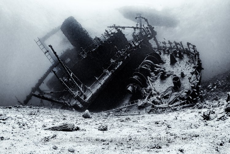 Giannis D Wreck. Egypt