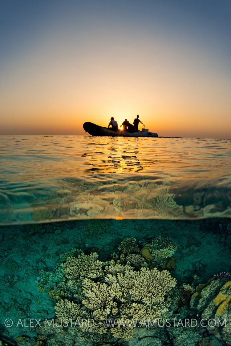 Reef And Boat At Sunset. Egypt