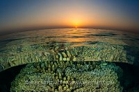 Coral Reef Sunset. Egypt