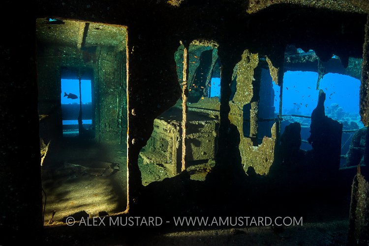 Accomodation, Chrisoula K. Egypt