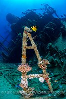 Giannis D Shipwreck.