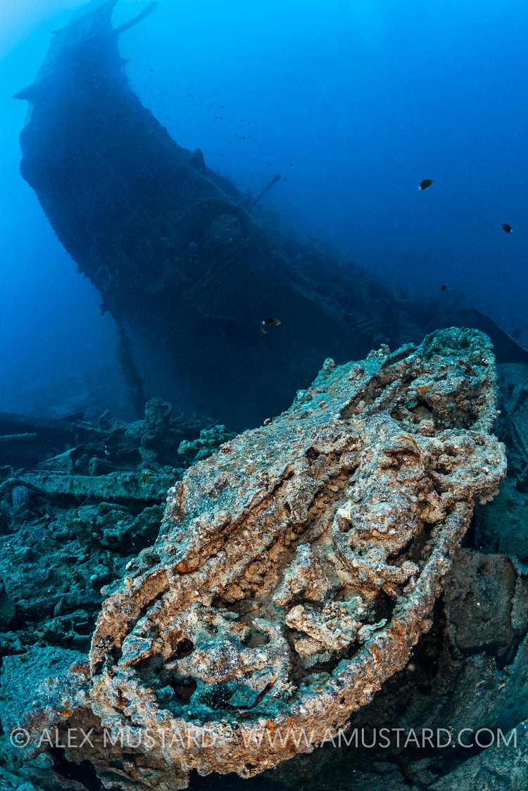 Universal Carrier, Thistlegorm, Egypt.