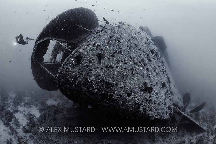 A diver explores the stern of the Second World War wreck of the Thistlegorm in Sha'ab Ali, Sinai, Egypt. Red Sea.