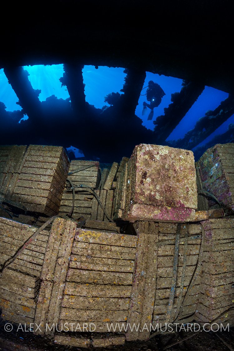 Tiles & Diver. Egypt