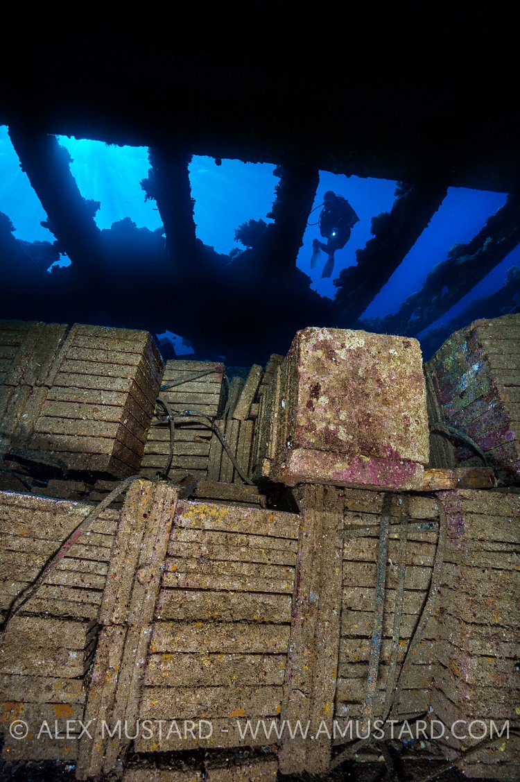 Tiles & Diver. Egypt