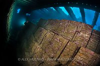 Tiles In Hold. Egypt.