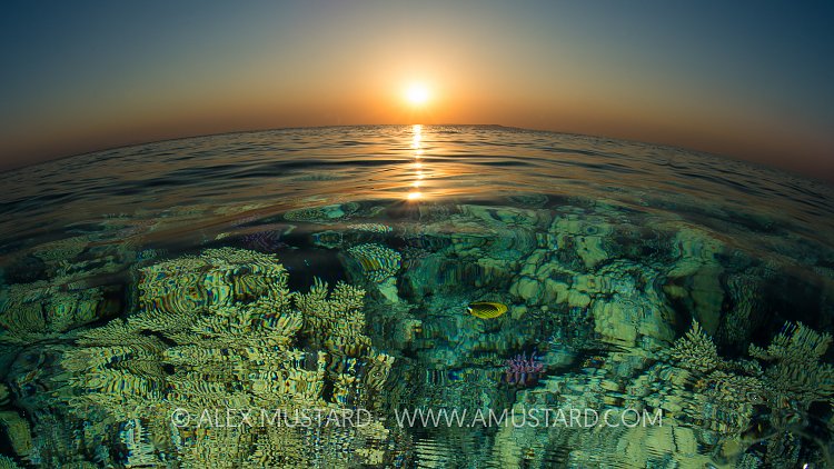Red Sea Sunset. Egypt