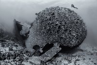 Chrisoula K Wreck. Egypt