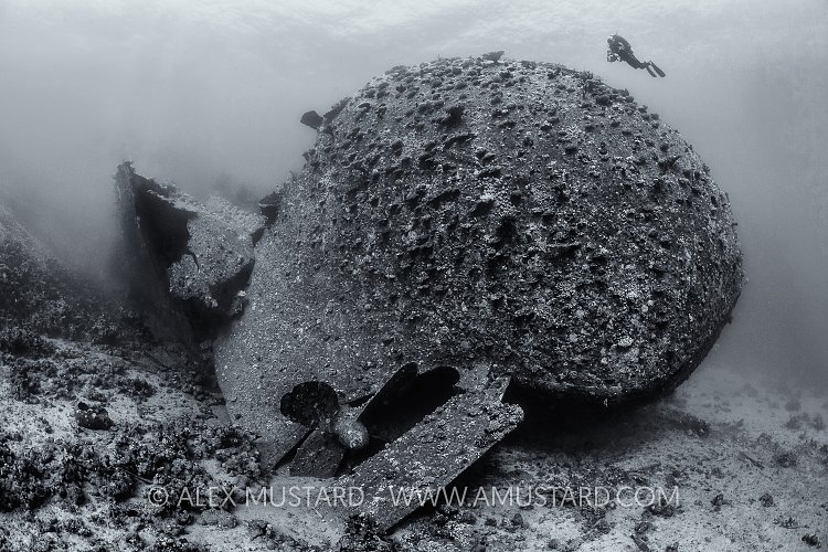 Chrisoula K Wreck. Egypt