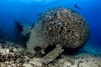 Chrisoula K Wreck. Egypt