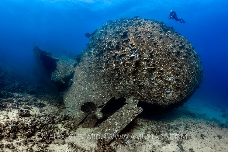 Chrisoula K Wreck. Egypt