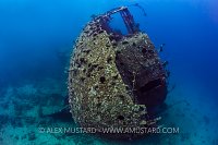 Chrisoula K Wreck. Egypt