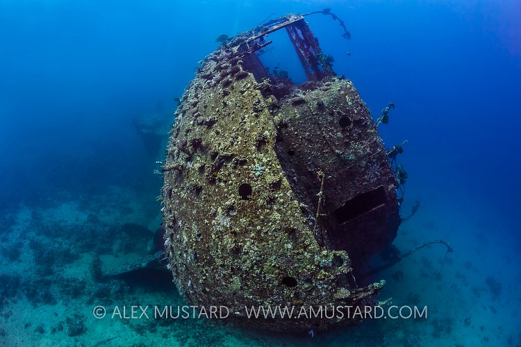 Chrisoula K Wreck. Egypt