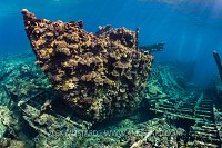 Chrisoula K Wreck. Egypt