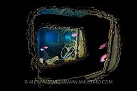 Bedford OY Steering Wheel. Egypt