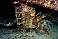 Albion Lorry on Thistlegorm. Egypt