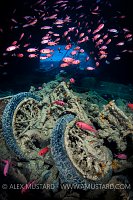 Motorbikes On Thistlegorm. Egypt