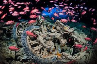Motorbikes and fish. Thistlegorm. Egypt