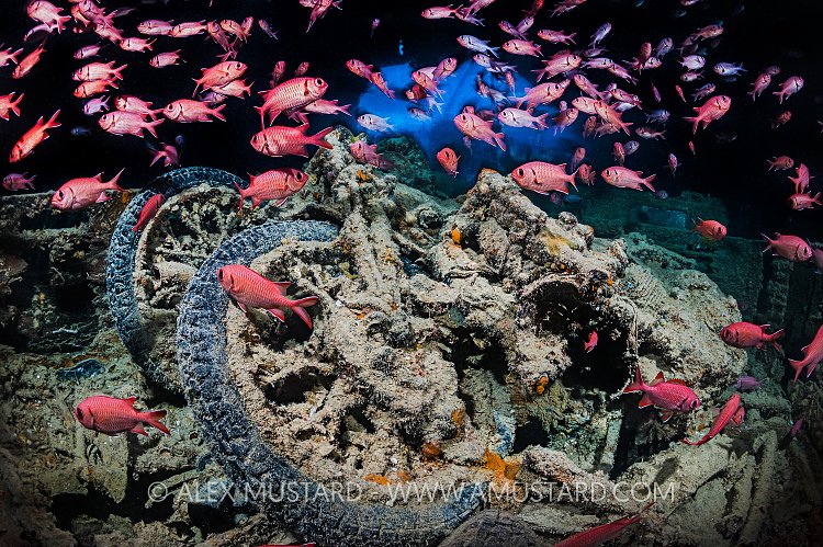 Motorbikes and fish. Thistlegorm. Egypt