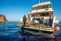 Whirlwind Liveaboard. Egypt.
