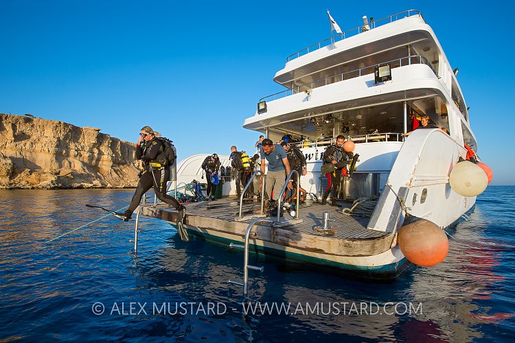 Giant Stride. Egypt.