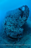 Dunraven Wreck. Egypt.