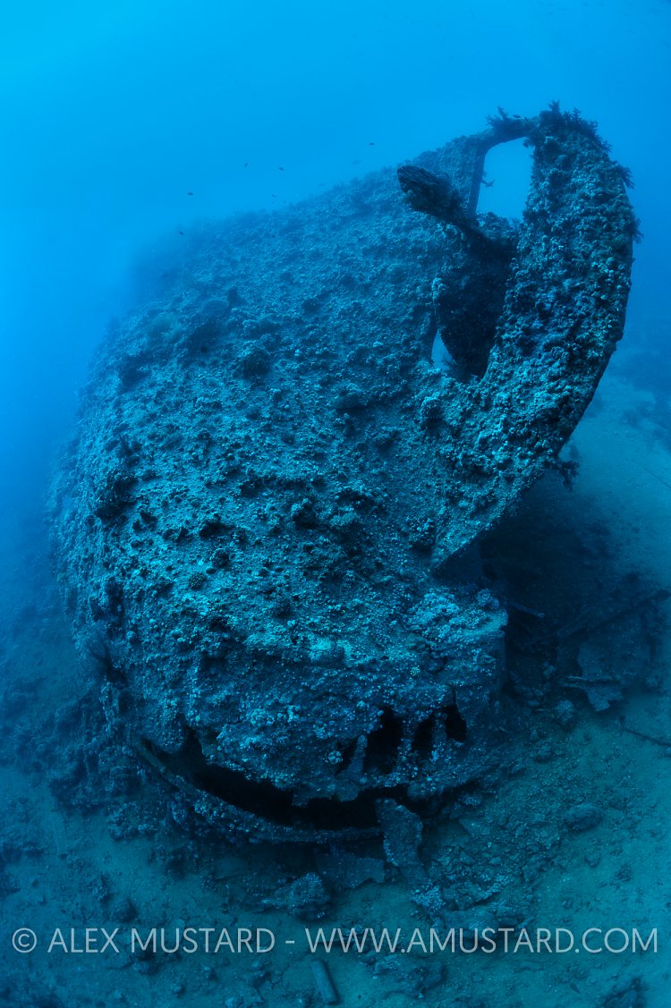 Dunraven Wreck. Egypt.
