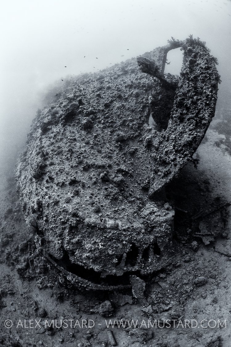Dunraven Wreck. Egypt.
