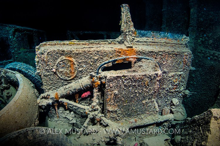 Leyland Retriever, Thistlegorm, Egypt.