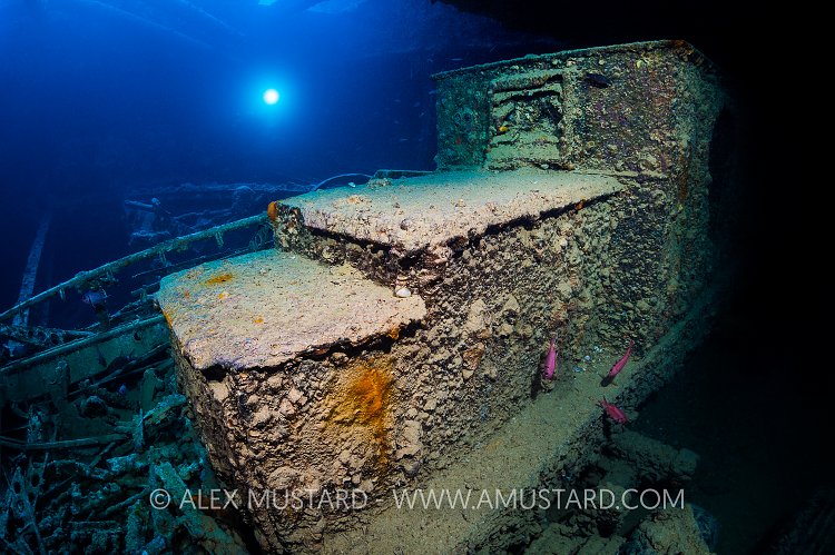 Pundit Light. Thistlegorm. Egypt