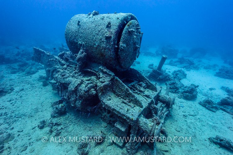 Thistlegorm Train. Egypt