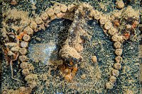 Pundit Light Dial. Thistlegorm. Egypt