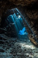Coral Cavern. Red Sea