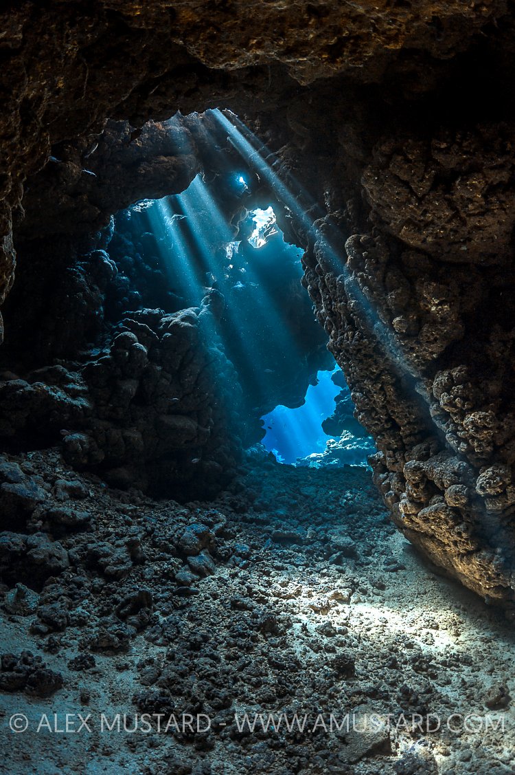 Coral Cavern. Red Sea