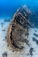 Wreck. Egypt