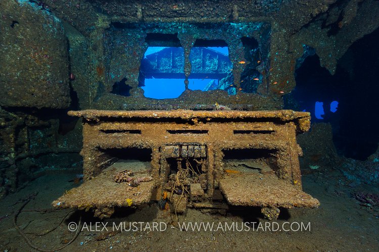 Cooker On Chrisoula. Egypt