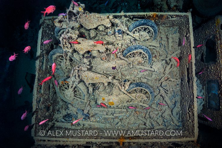 Norton Motorbikes. Thistlegorm. Egypt