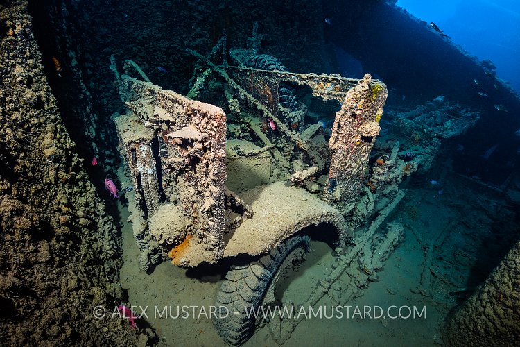 Albion Lorry on Thistlegorm. Egypt