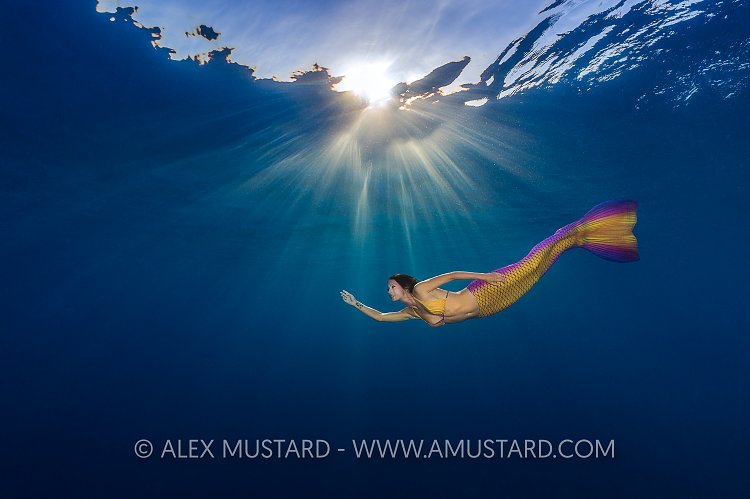 Mermaid In Sunburst. Egypt