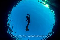 Mermaid Silhouette. Egypt