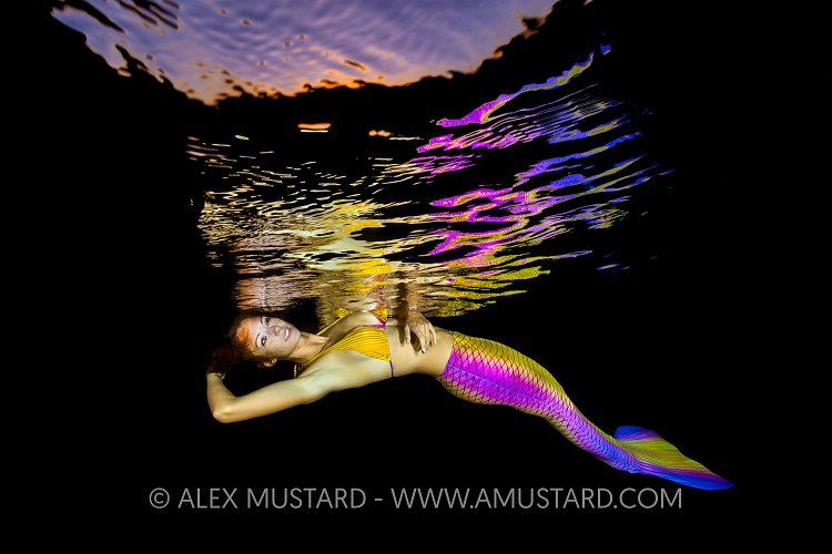 Mermaid Reflection. Egypt