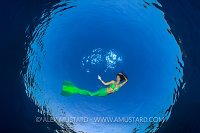 Mermaid In Snell. Egypt