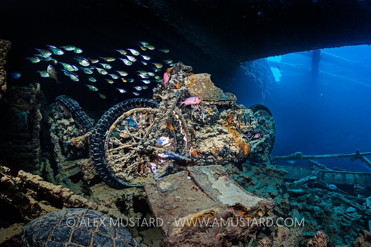 BSA M20 Motorbike. Thistlegorm. Egypt