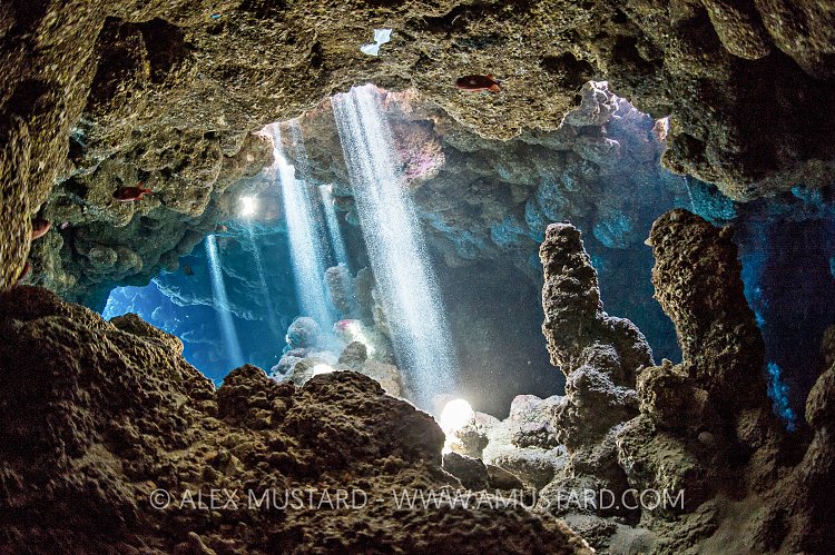 Coral Cavern. Egypt