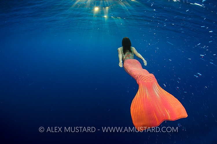 Mermaid And Sun. Egypt