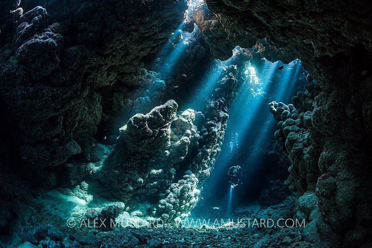 Diver In Cavern. Egypt