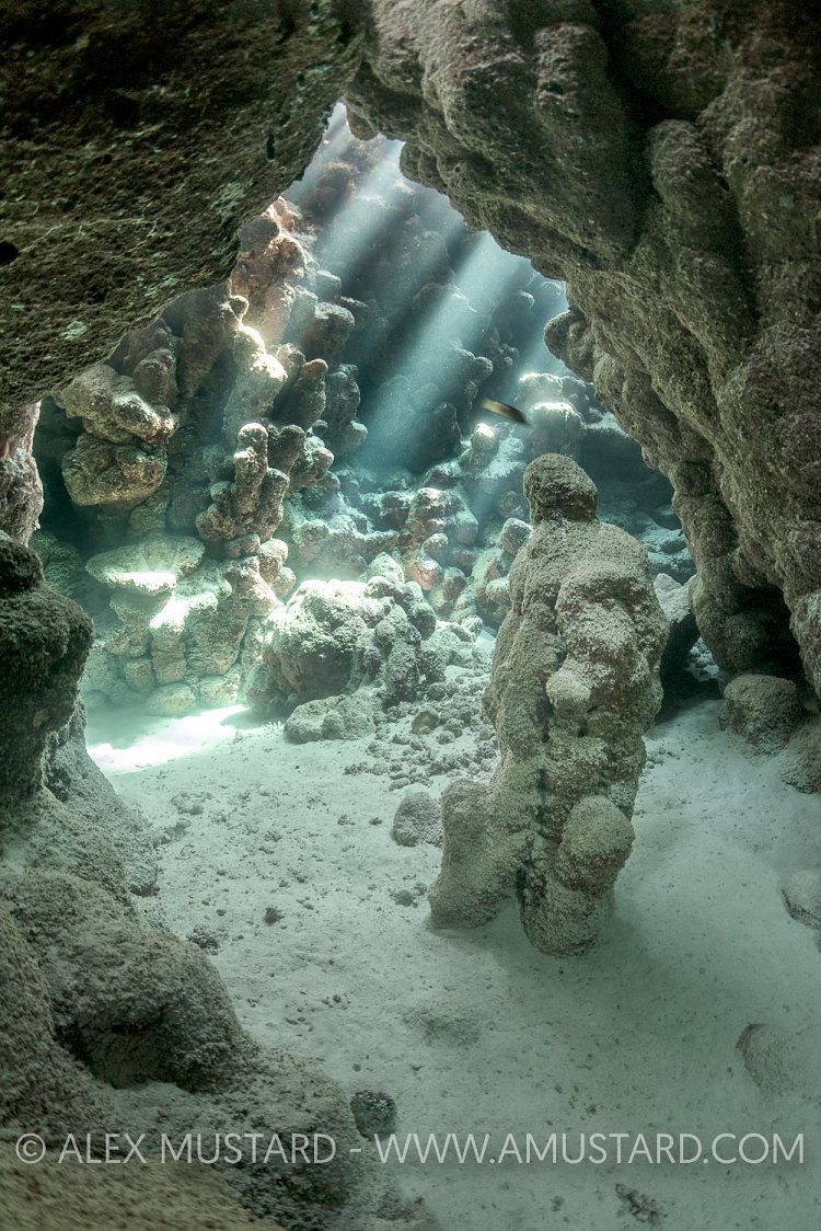 Natural Statue. Red Sea